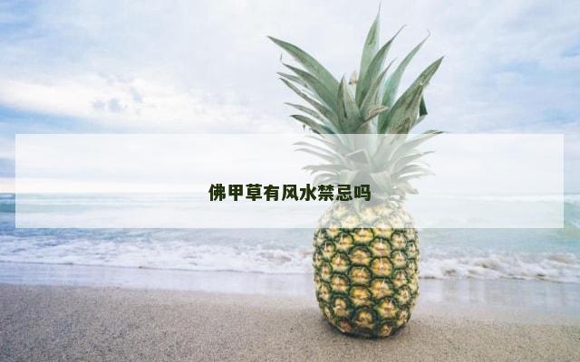 佛甲草有风水禁忌吗