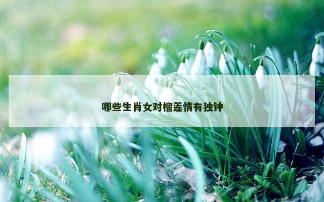 哪些生肖女对榴莲情有独钟