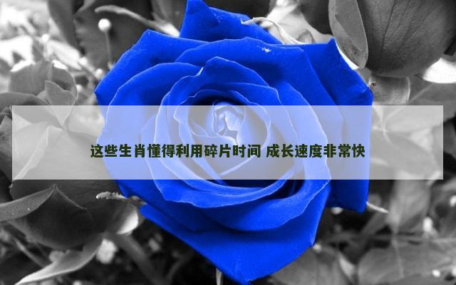 这些生肖懂得利用碎片时间 成长速度非常快