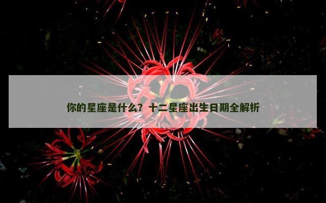 你的星座是什么？十二星座出生日期全解析