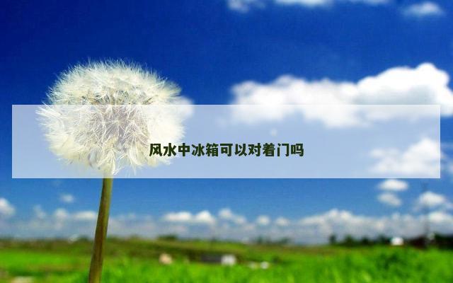 风水中冰箱可以对着门吗