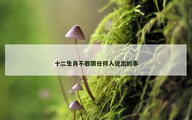 十二生肖不敢跟任何人说出的事