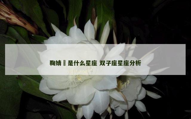 鞠婧祎是什么星座 双子座星座分析