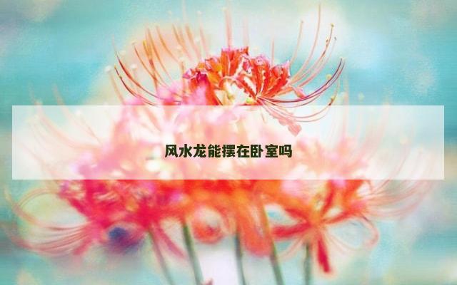 风水龙能摆在卧室吗