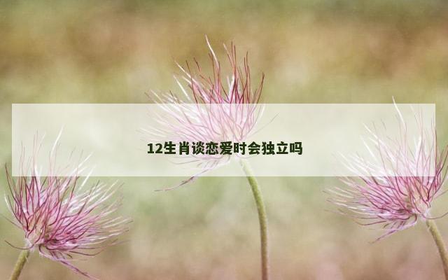 12生肖谈恋爱时会独立吗