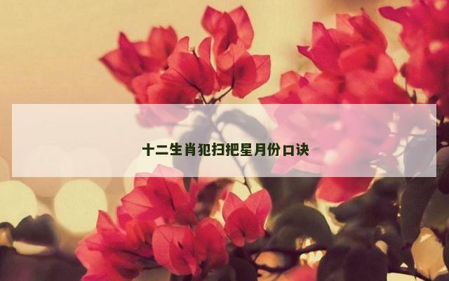 十二生肖犯扫把星月份口诀