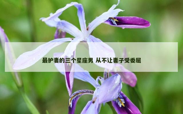 最护妻的三个星座男 从不让妻子受委屈