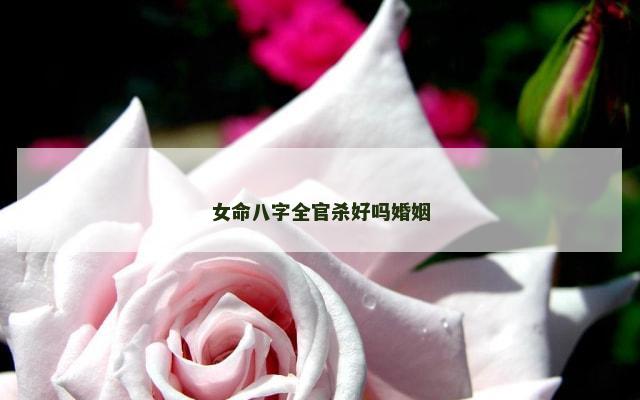 女命八字全官杀好吗婚姻