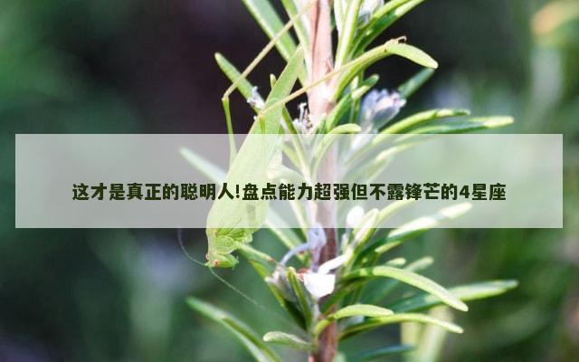 这才是真正的聪明人!盘点能力超强但不露锋芒的4星座