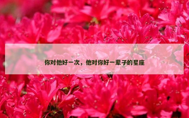 你对他好一次，他对你好一辈子的星座