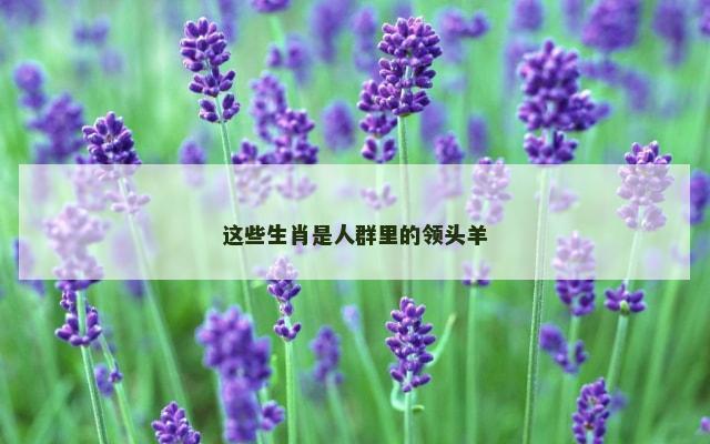 这些生肖是人群里的领头羊