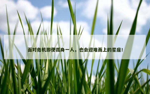 面对危机即使孤身一人，也会迎难而上的星座！