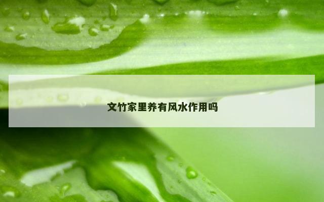 文竹家里养有风水作用吗