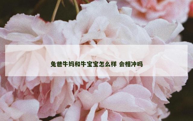 兔爸牛妈和牛宝宝怎么样 会相冲吗