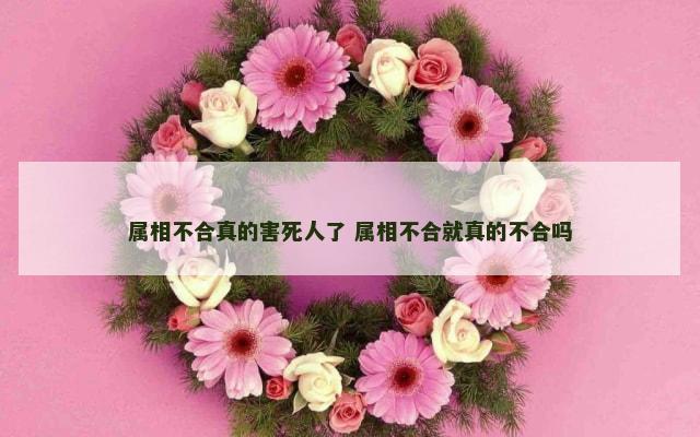 属相不合真的害死人了 属相不合就真的不合吗