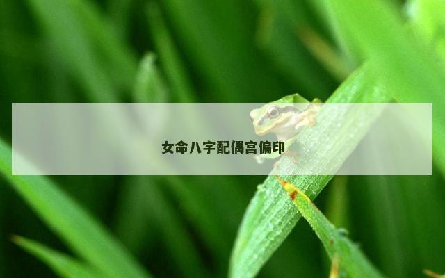 女命八字配偶宫偏印