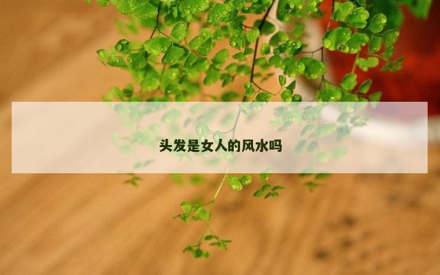 头发是女人的风水吗