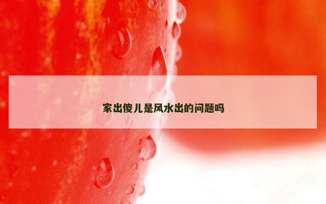家出傻儿是风水出的问题吗