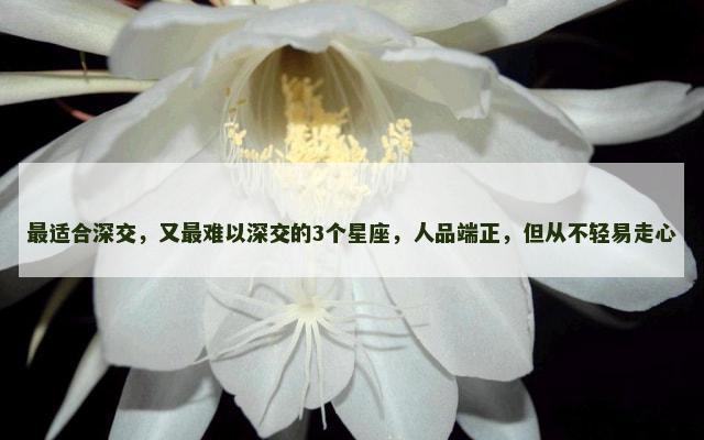 最适合深交，又最难以深交的3个星座，人品端正，但从不轻易走心