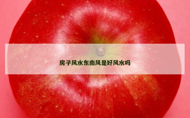 房子风水东南风是好风水吗
