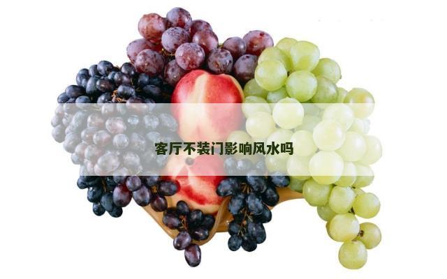 客厅不装门影响风水吗