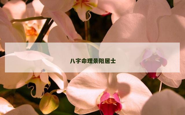 八字命理景阳居士