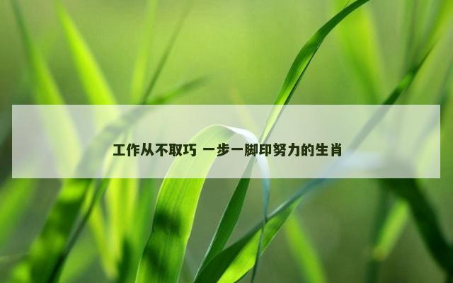 工作从不取巧 一步一脚印努力的生肖