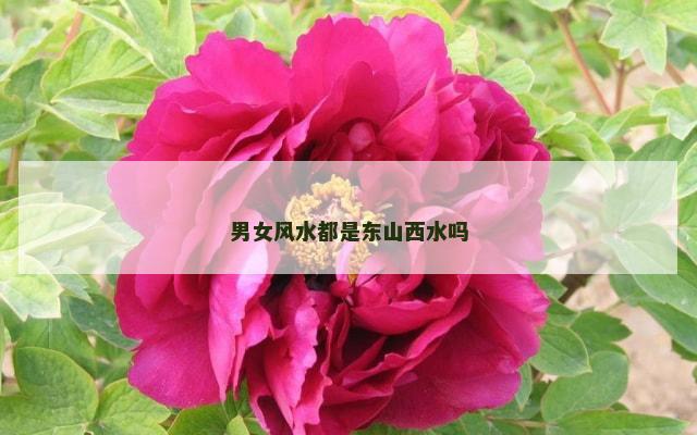 男女风水都是东山西水吗