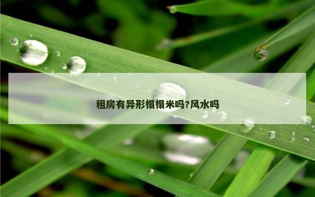 租房有异形榻榻米吗?风水吗