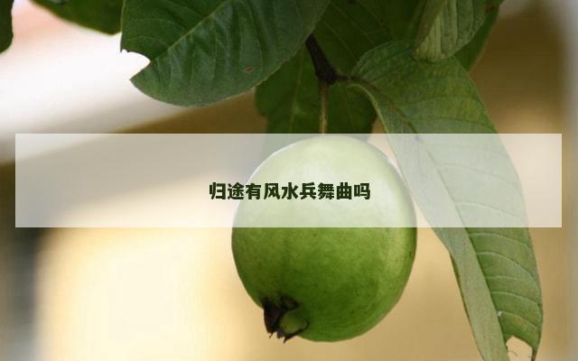 归途有风水兵舞曲吗