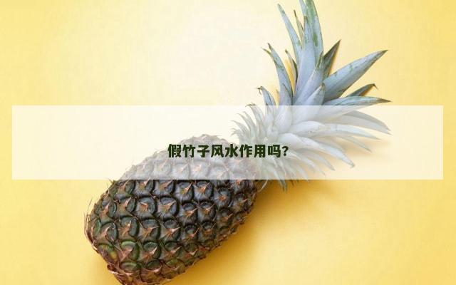 假竹子风水作用吗?