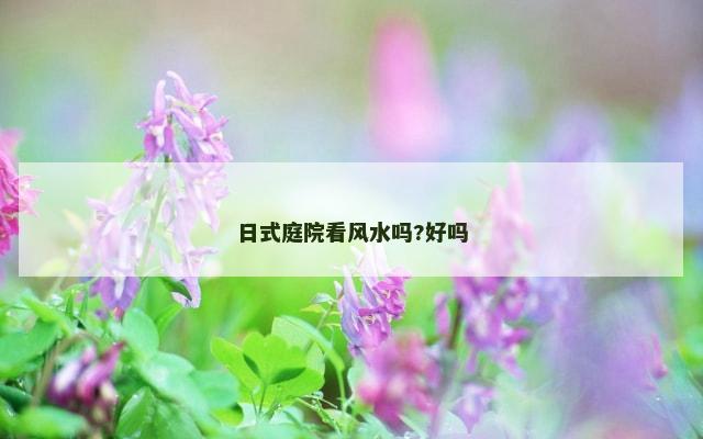 日式庭院看风水吗?好吗