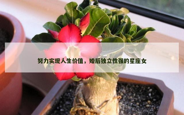 努力实现人生价值，婚后独立性强的星座女