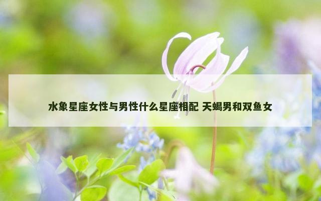 水象星座女性与男性什么星座相配 天蝎男和双鱼女
