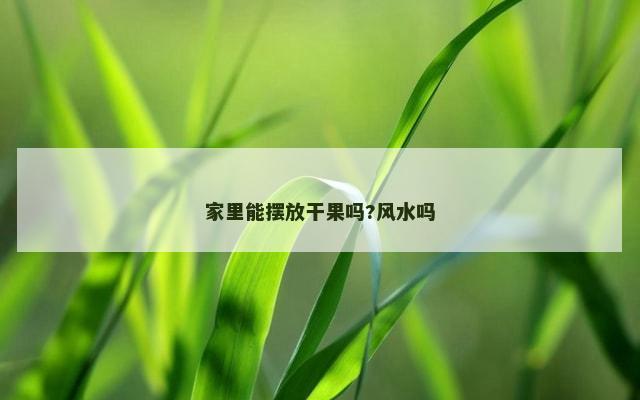 家里能摆放干果吗?风水吗