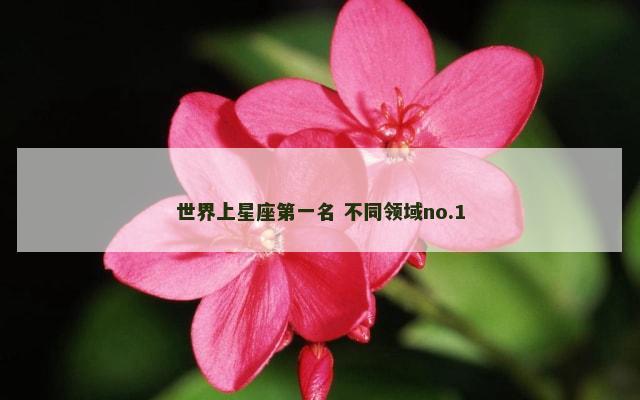 世界上星座第一名 不同领域no.1