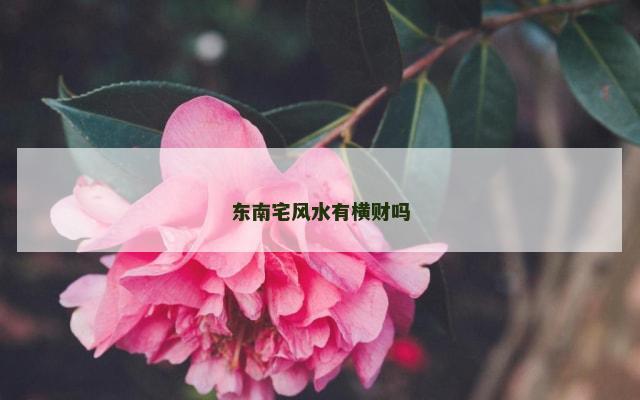 东南宅风水有横财吗