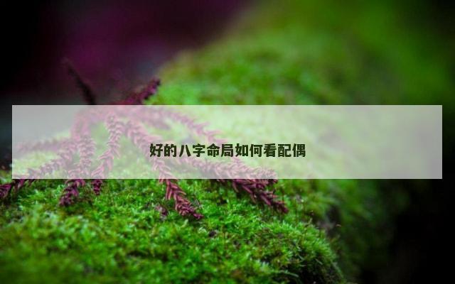 好的八字命局如何看配偶