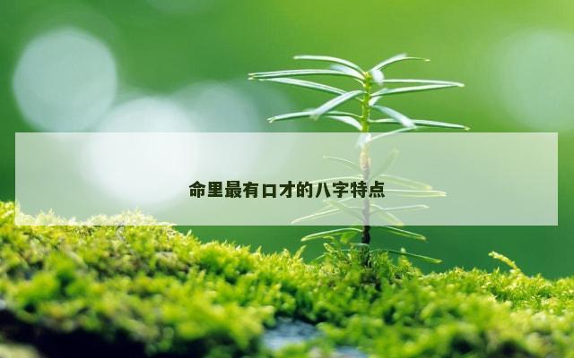 命里最有口才的八字特点