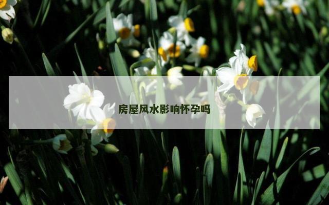房屋风水影响怀孕吗