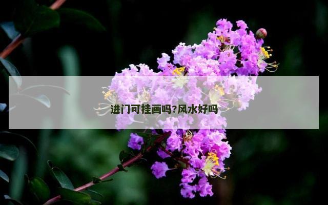 进门可挂画吗?风水好吗