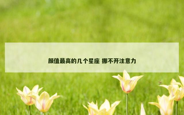 颜值最高的几个星座 挪不开注意力
