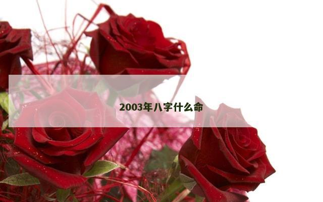 2003年八字什么命