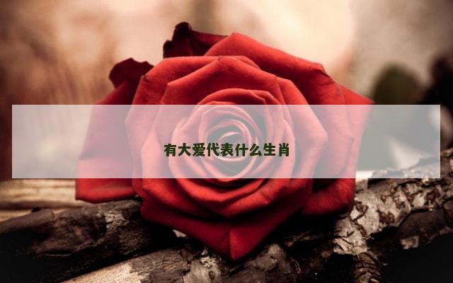 有大爱代表什么生肖
