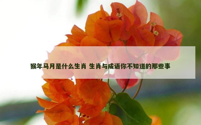 猴年马月是什么生肖 生肖与成语你不知道的那些事