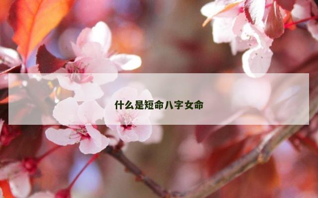 什么是短命八字女命