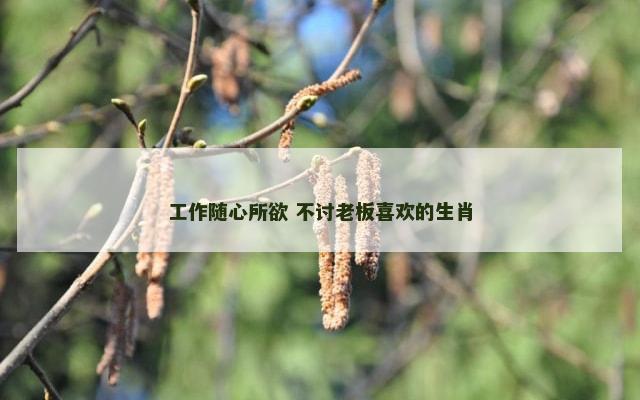 工作随心所欲 不讨老板喜欢的生肖