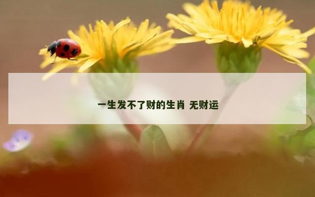 一生发不了财的生肖 无财运