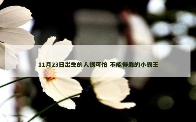 11月23日出生的人很可怕 不能得罪的小霸王