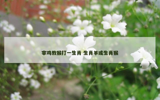 宰鸡教猴打一生肖 生肖羊或生肖猴